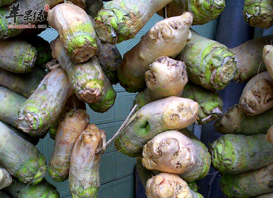 大头菜怎么吃最有营养 为你介绍