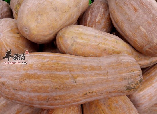 方瓜可以起到哪些保健的作用