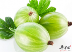 香瓜的食疗配方和营养作用