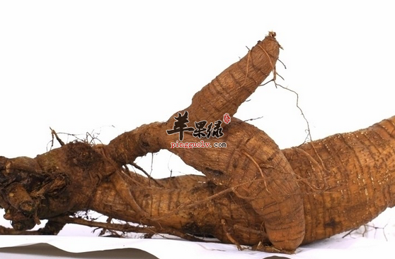 葛根对于人体的五大好处讲解
