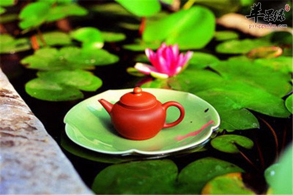 荷叶泡茶4.jpg