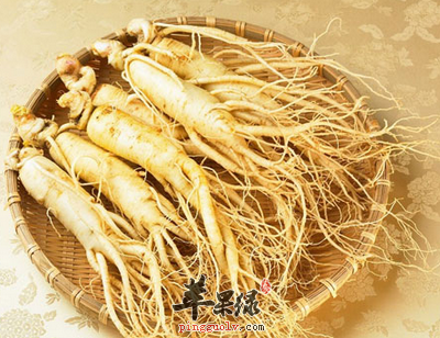 有关人参的正确吃法及误区需知