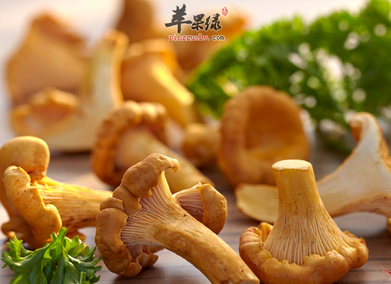 鸡油菌的主要吃法和食用效果
