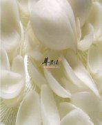 食用百合能够润肺清心美容杀菌