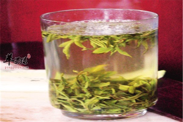 黄芩绿茶——清热润燥利尿降压