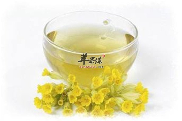 1菩提甘菊茶.jpg