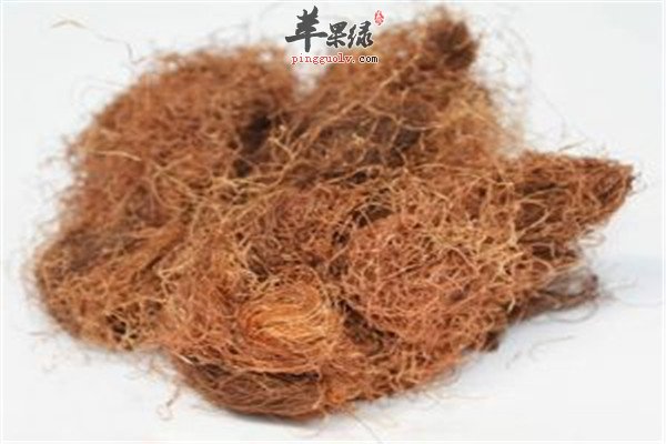 玉米须5.jpg