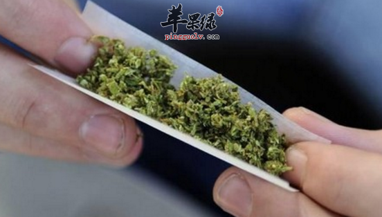 大麻也许具有可以治疗癫痫成分