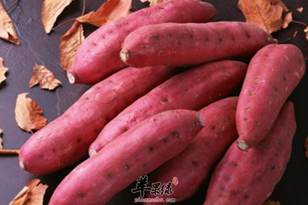 冬季排毒食什么 绿豆 地瓜 薏仁 山药 小米