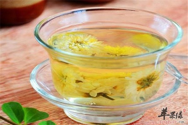 菊花麦冬茶——清咽润喉止咳化痰