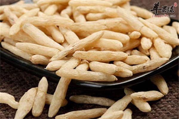 麦冬3.jpg