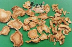 服用当归的副作用不可不知