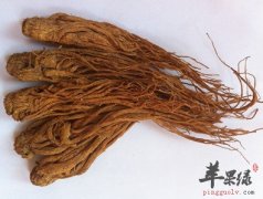 当归的两种保健养生吃法介绍