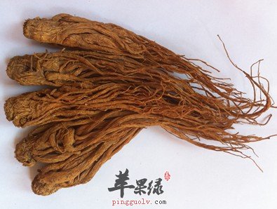 用当归泡水喝的禁忌有哪些