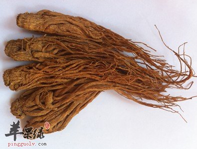 当归的两大益处与禁忌介绍
