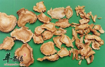 当归的两大益处与禁忌介绍
