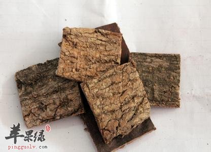 杜仲的功效与作用 能促进代谢预防衰老