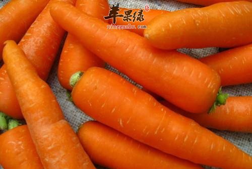 胡萝卜不能和哪些食物一起吃呢