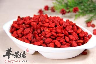 经常吃枸杞对我们的好处有哪些