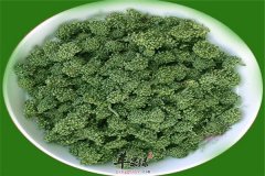 什么人不能喝三七花 三种人群是禁忌