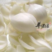 推荐百合做法 教你如何挑选食材