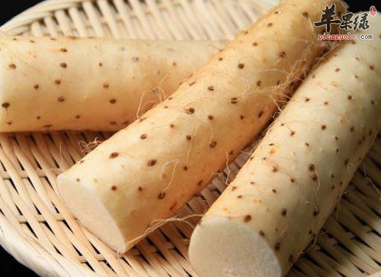 山药适合食疗人群 怎样选购山药