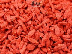 男性食用枸杞补肾降压清肝