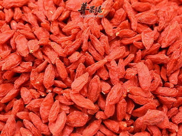 男性食用枸杞子有什么功效 补肾 降压 清肝