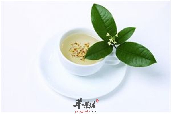 当归白芍茶2.jpg