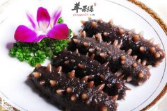 多大的孩子能吃海参 有何好处