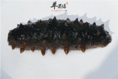 感冒期间能吃海参吗 要注意什么