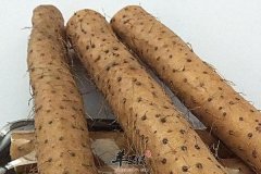 山药可以和薏米红豆煮粥 做法介绍