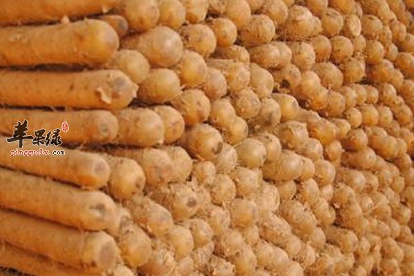 男性食疗汤 乌鸡山药红枣汤的做法及好处