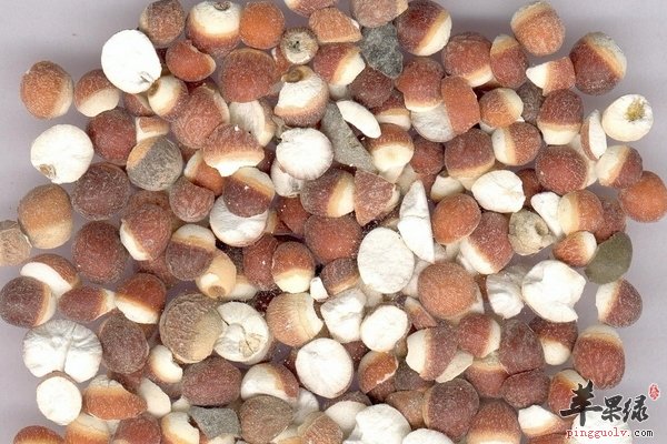 芡实的功效与作用 芡实的食疗价值