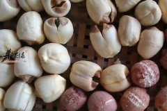 芡实的功效作用以及食疗价值