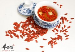喝枸杞茶可提高机体抗疲劳降血压