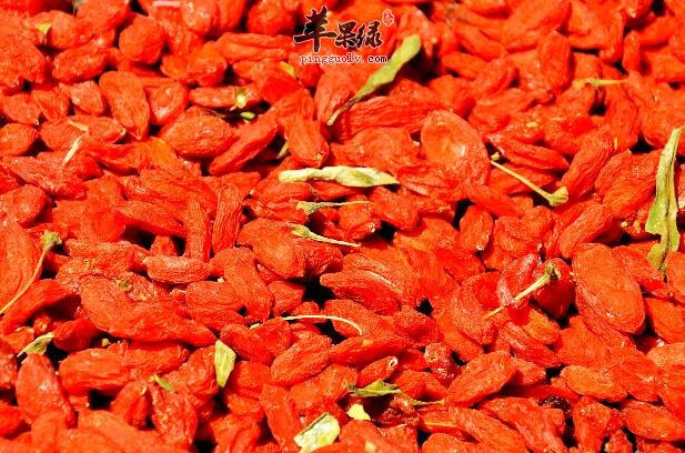 小小枸杞能补肾补血增强活力