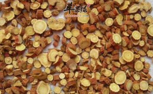 甘草泡水喝存在哪些禁忌