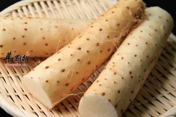 山药的吃法大全 熬粥、熬汤、春卷、手卷