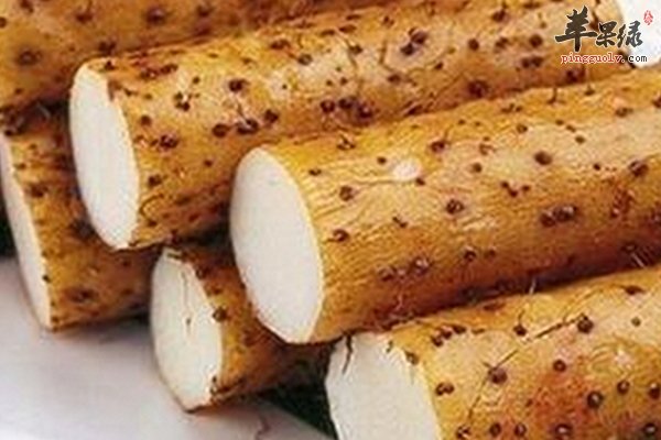山药对不同人群的好处 女人 男人 老人 小孩