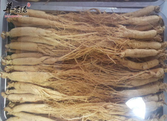 食用人参会出现哪些误区