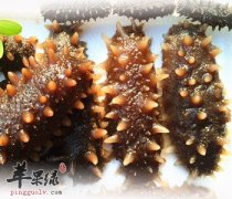 海参的食疗作用 补肾养精增强免疫