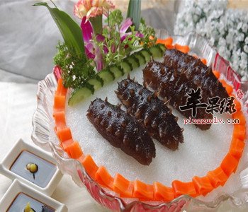 食用海参能健脑抗衰老 食用要注意的禁忌