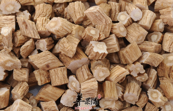 用党参进行补肾的做法介绍