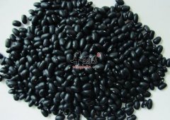 黑豆虽好 但这些人不适合吃
