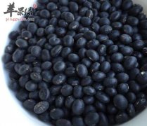 哪些人是不宜吃黑豆 禁忌人群