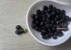 黑豆能补肾补血 切记吃法要对