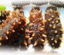海参烧汤比较适合孕妇来滋补