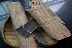 生杜仲熟杜仲有区别吗 盘点其不同_苹果绿