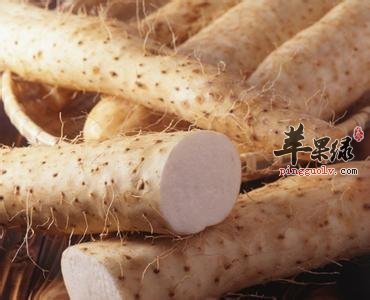 一起看看一些山药的制作的方法